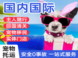 昭通机场空运国际宠物托运 【国